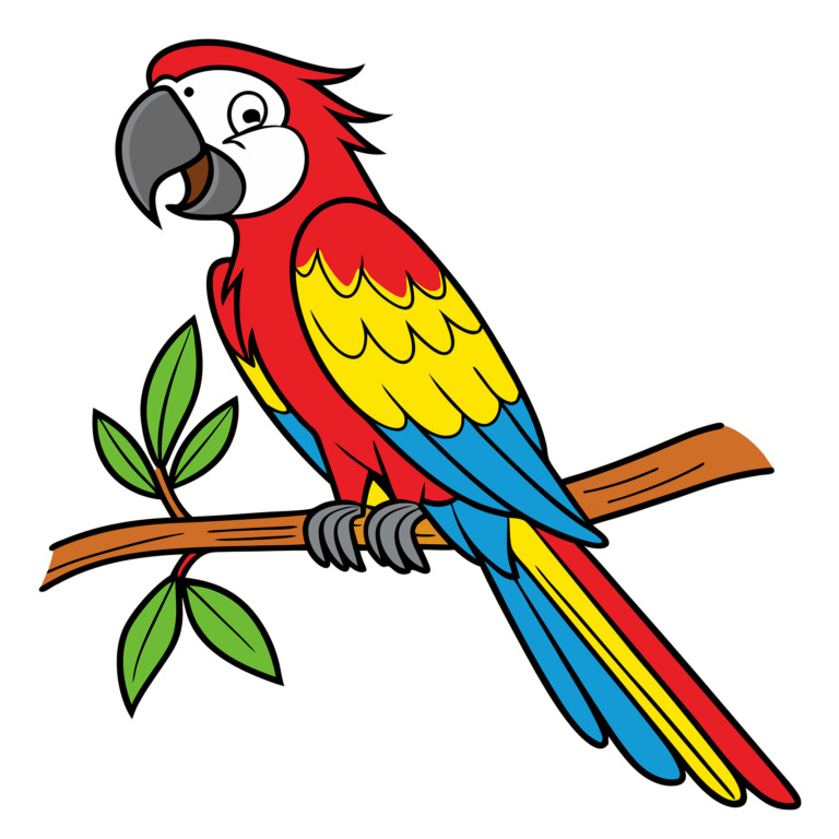 A vibrant and colorful illustration of a parrot perched on a branch, designed for a t-shirt. The parrot features bright red, yellow, and blue feathers, with a striking black and white beak. It sits on a brown branch with green leaves, set against a plain white background. This image is available as a free design in the public domain under CC0, perfect for adding a splash of color and nature-inspired art to any t-shirt.